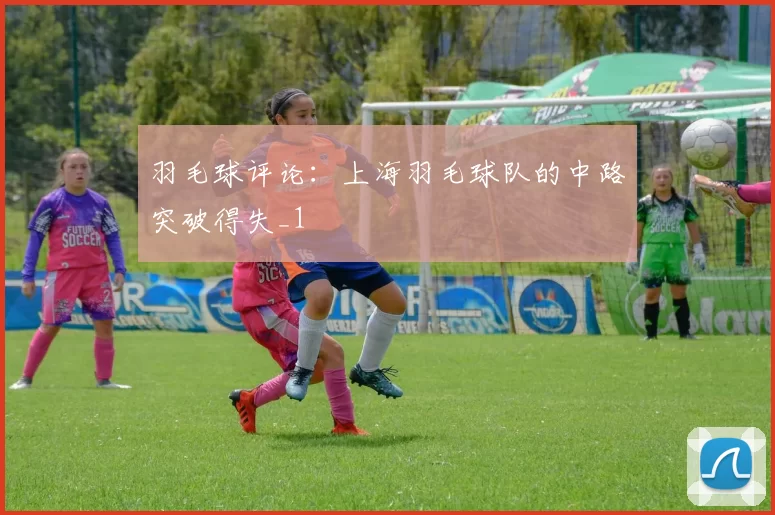 羽毛球评论：上海羽毛球队的中路突破得失_1