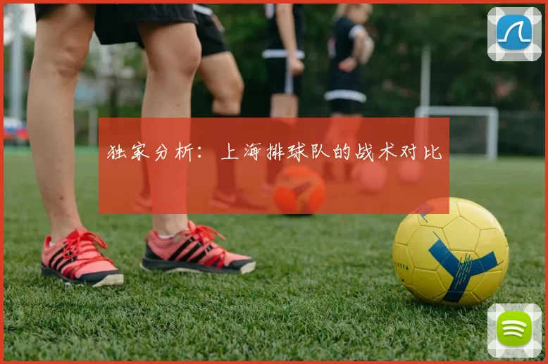 独家分析：上海排球队的战术对比