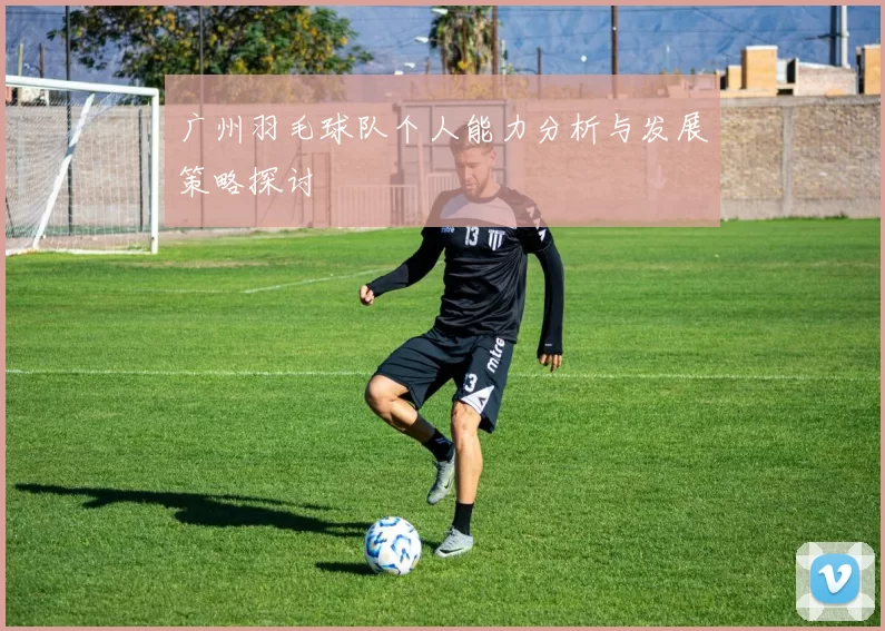 广州羽毛球队个人能力分析与发展策略探讨