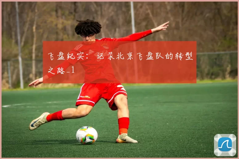 飞盘纪实：记录北京飞盘队的转型之路_1