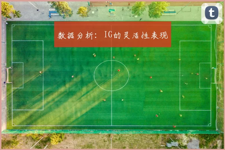 数据分析：IG的灵活性表现