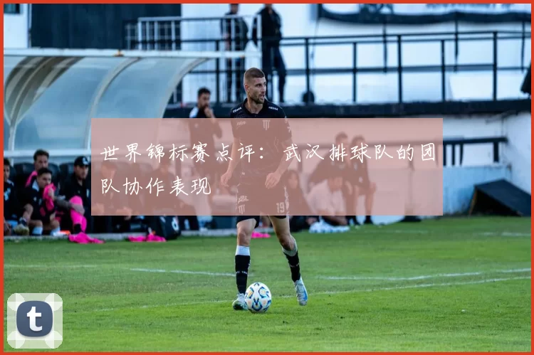 世界锦标赛点评：武汉排球队的团队协作表现