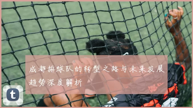 成都排球队的转型之路与未来发展趋势深度解析