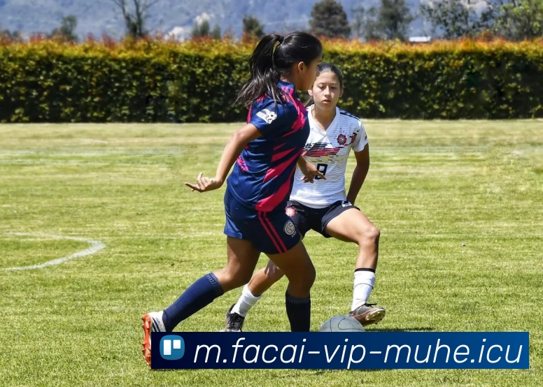 九游体育注册发展历程